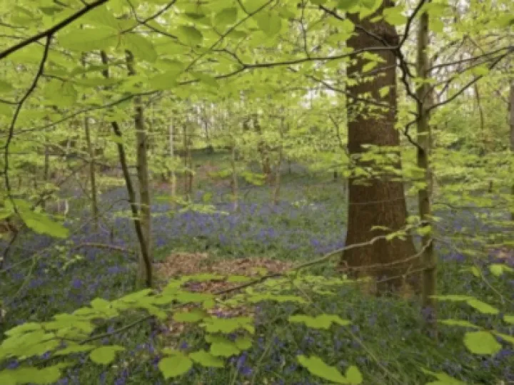 CC510D16-4FE9-4F90-AF2F-8FBCA3F258D0