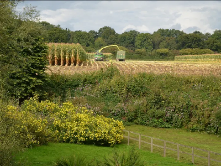 Harvest_DSC_1341cut2B