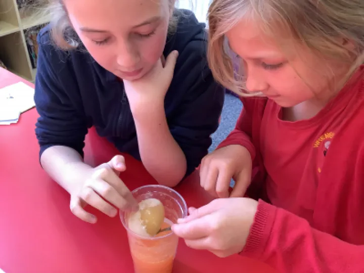 Image: 5FE34F9C-CD55-4C28-9BBF-08B68EBC574D