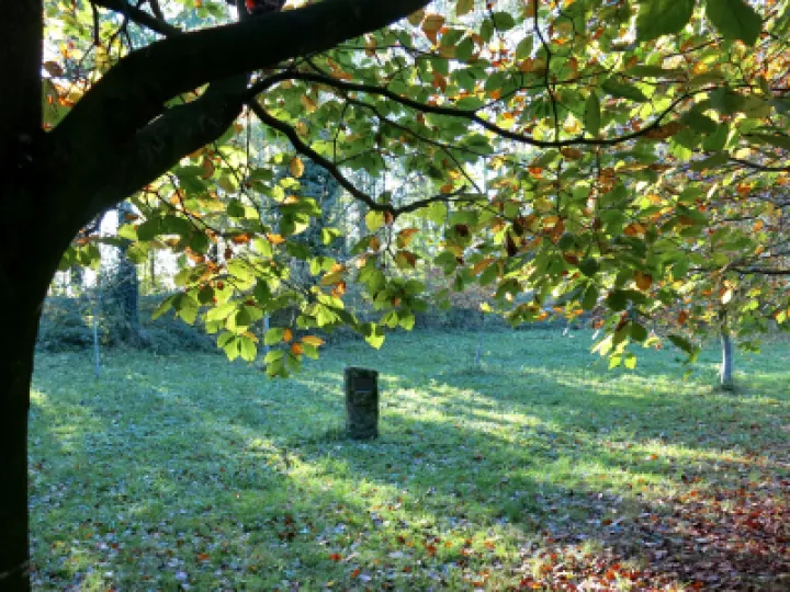 Jims memorial Stone Autumn 2021