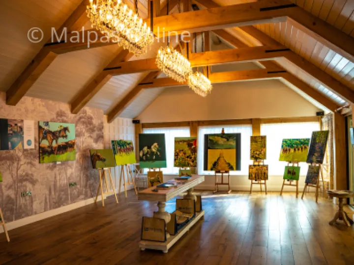The Brereton Suite at The Lion Malpas with the Black Lab Art exhibition