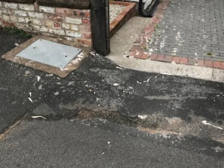 Drainage Issues Img_4263 (2)