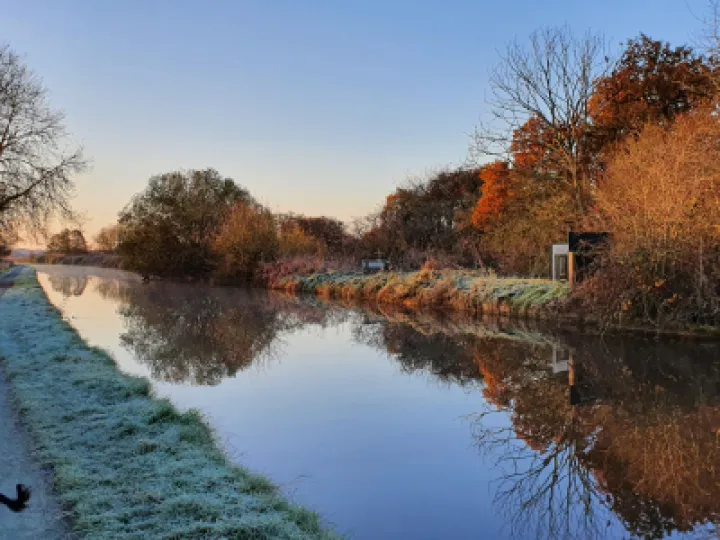 Image: 20211125_081916