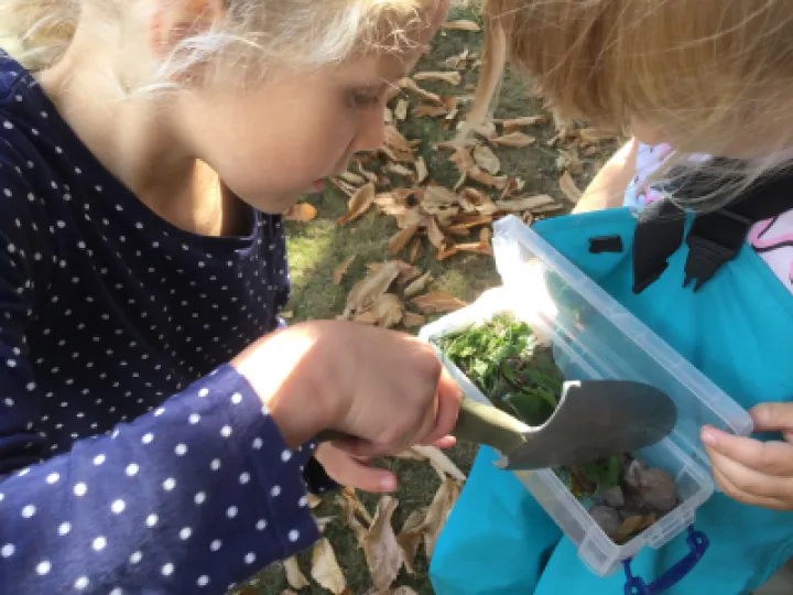 Minibeasts 3