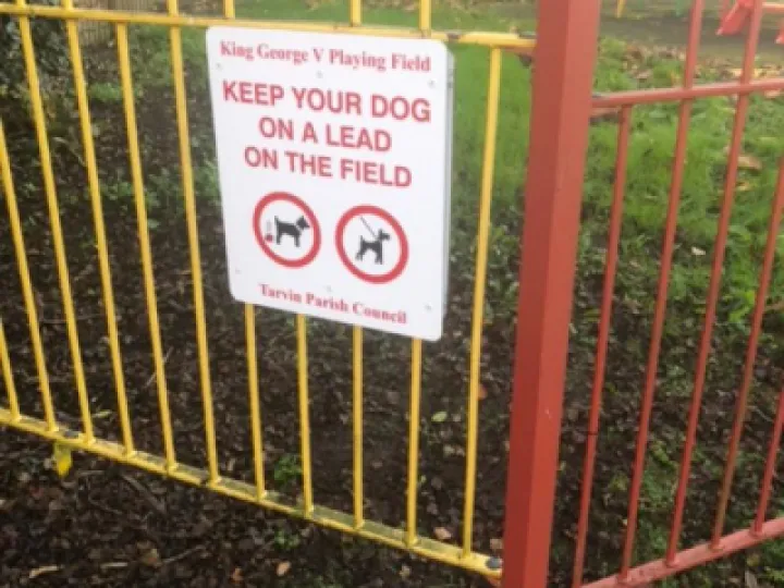 Playing Field Dog SignsThumbnail (3)