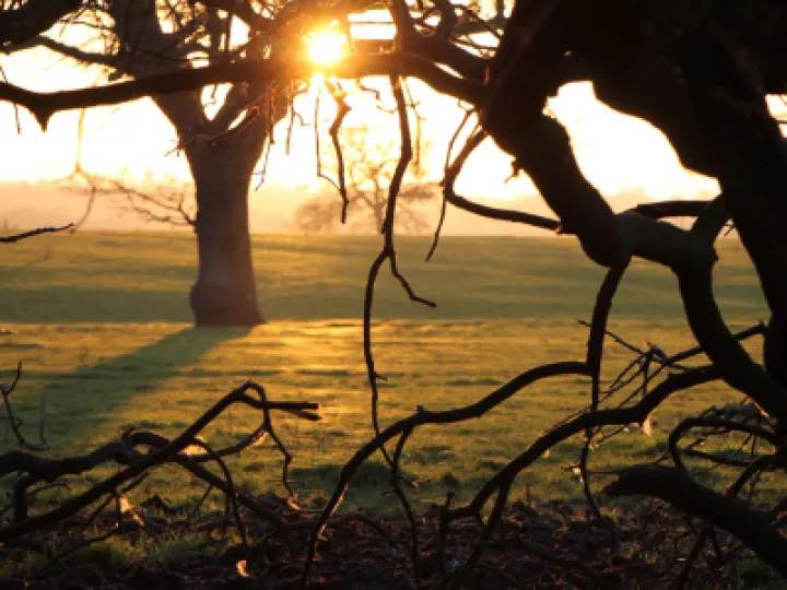 Tarvin Sunset Jan 22 – 2