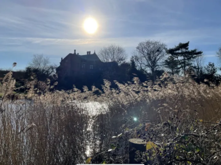 CBCEFCAA-87DF-44D0-886A-EB3252191BD0