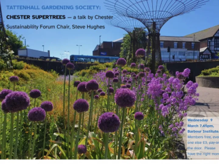 69ED815C-DC2A-474D-B1E7-DE499D01C0BB