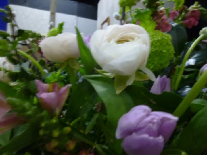 Flower Club March 2022 P1040105