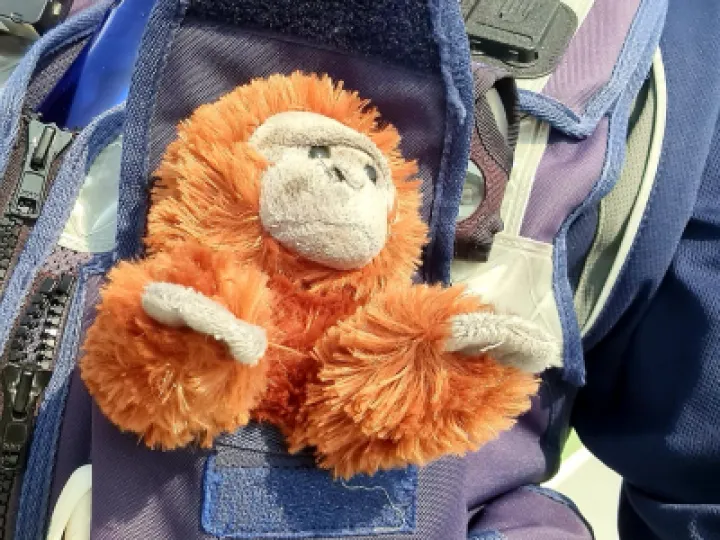 Ooh Aah Back In Safe Hands