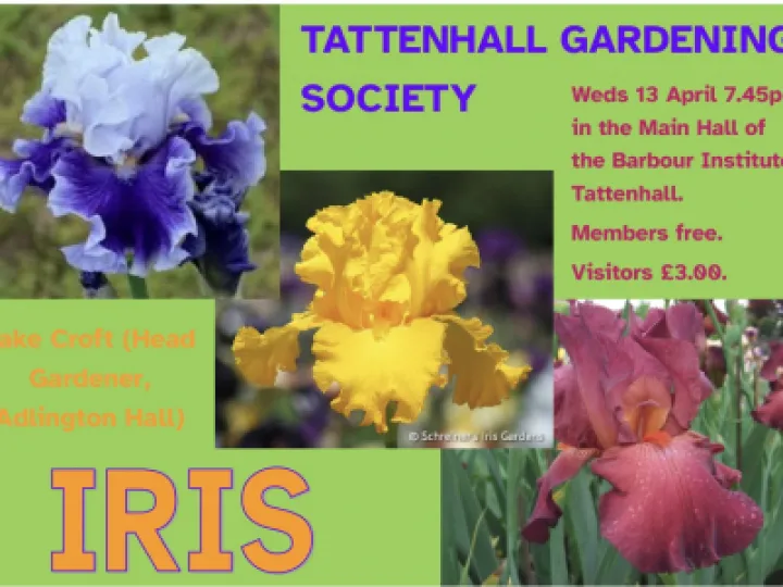 909319B2-9FBD-450D-B609-79853BA691AE