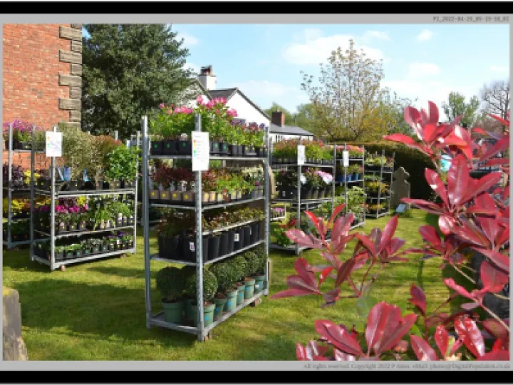 PJ 2022 04 29 09 19 58 01 1