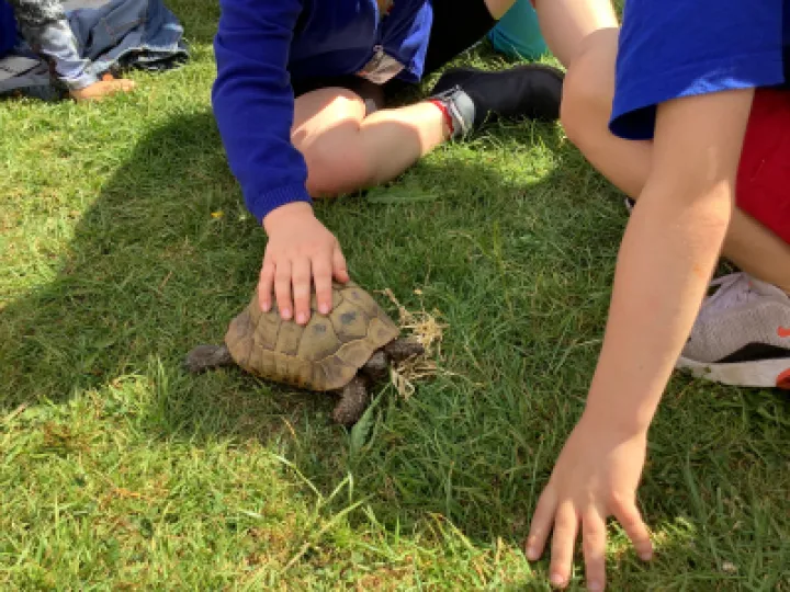 A312350E-9FC1-4588-A02A-1FB01A2839D3