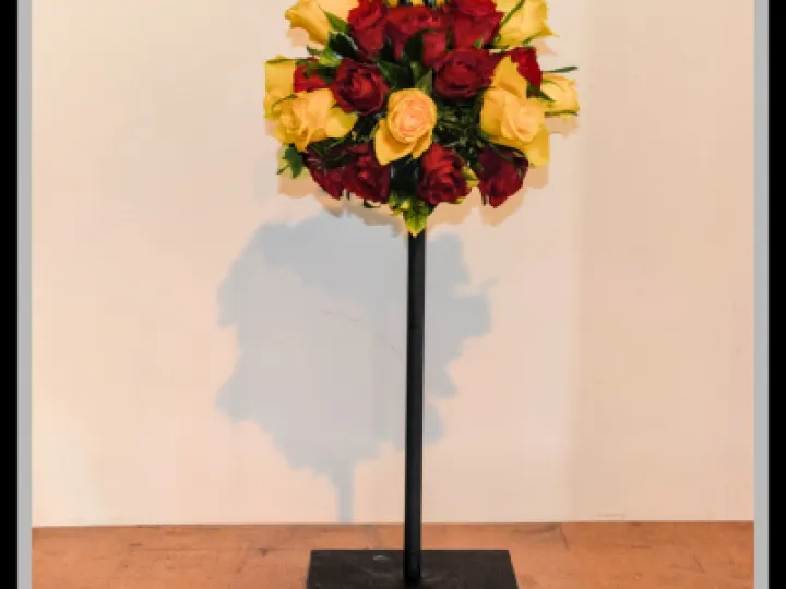 Pj 20220531 102714 0007