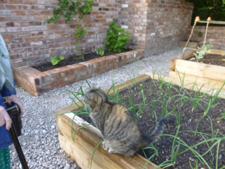 Flower Club JUne 2022 P1040154