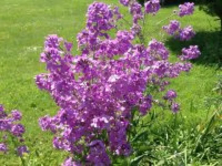 Refreshment Weekend 94_n