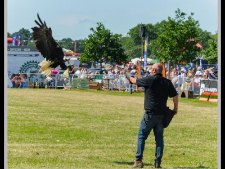 Pj 20220622 142238 0011