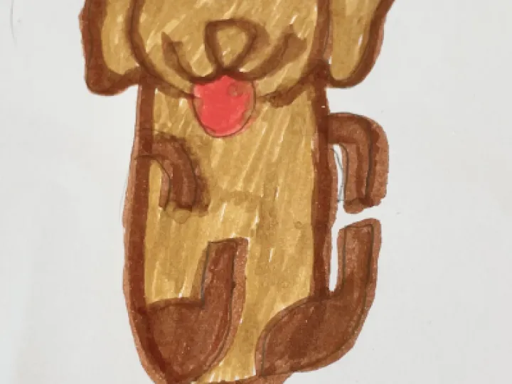 Drawing of a Dog