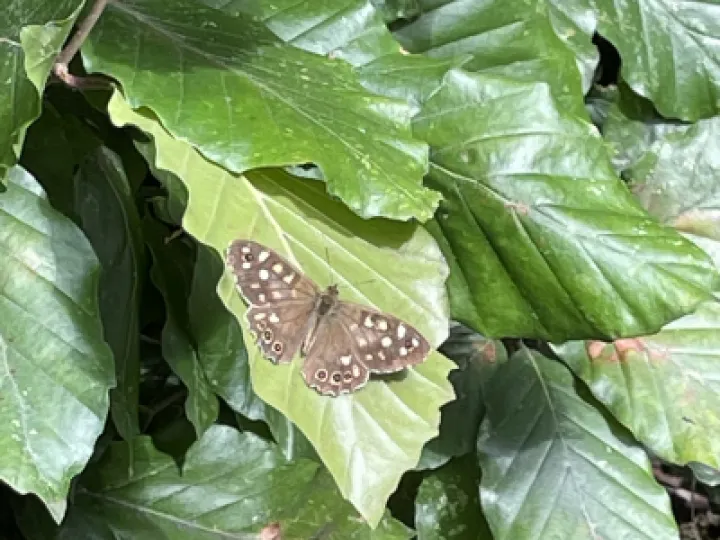 55305156-05D5-44E8-9A66-294805E422AB