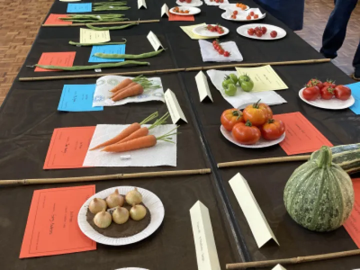 THS 2022 Veg IMG_0127[358009]