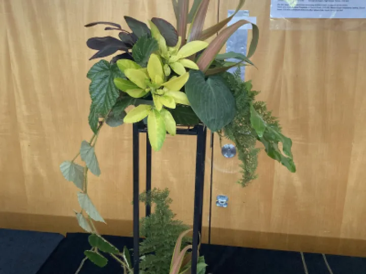 THS 2022 Floral Art (1) IMG_0126[358010]