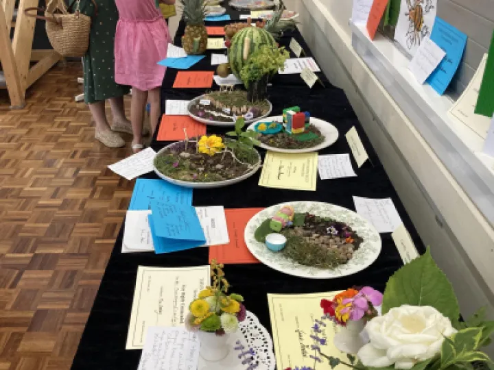 THS 2022 Designs IMG_0128[358008]