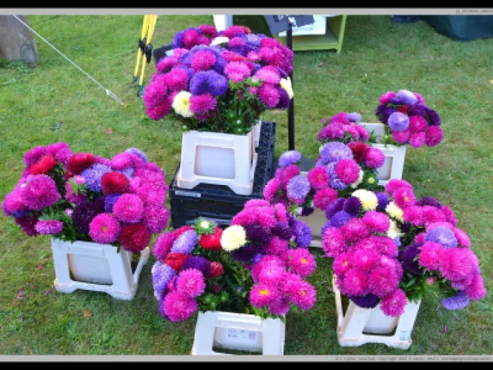 Pj 20220910 100526 0014