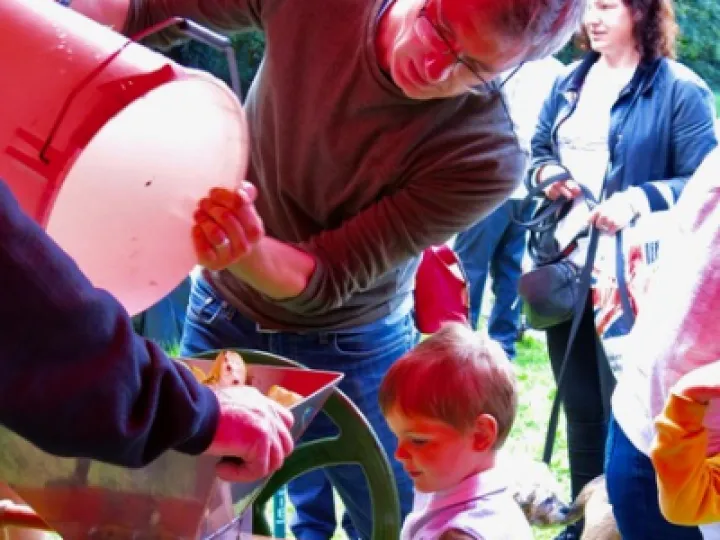 Apple Pressing &ndash; watching carefully