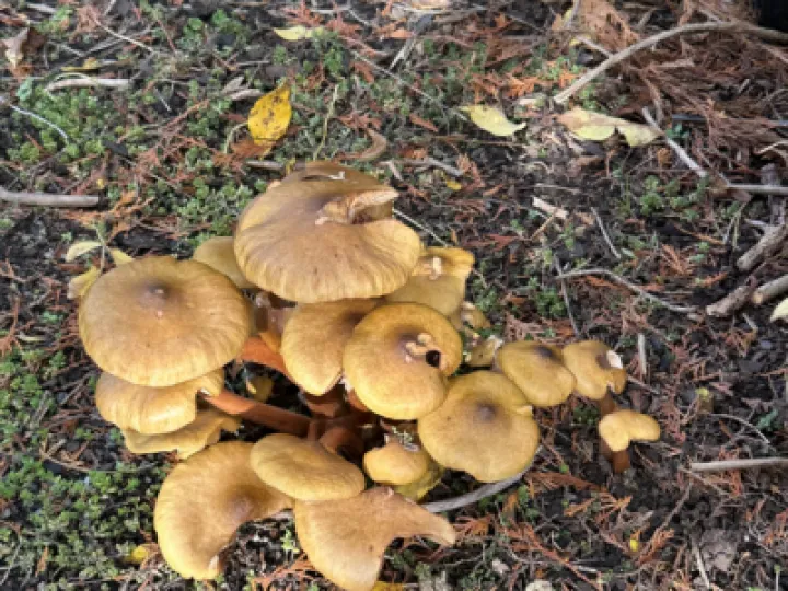 C795FC87-82BD-4D7F-800D-01978DD0F977