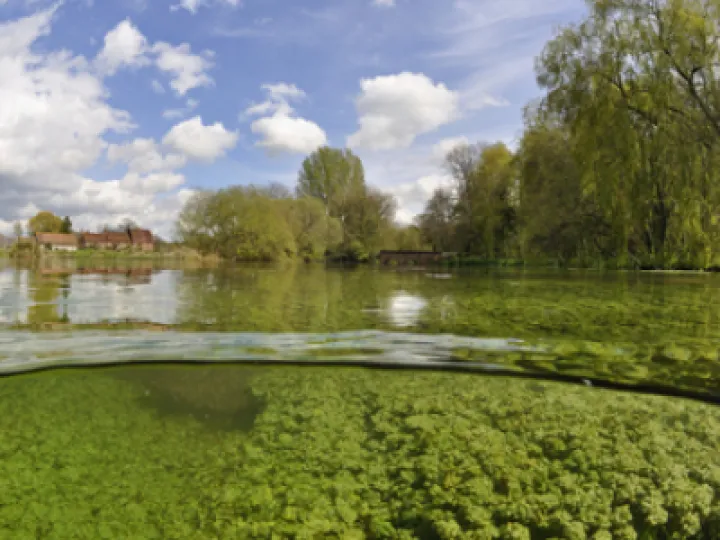 Bc31a768615c41fb9bee71d9c3f3dbee