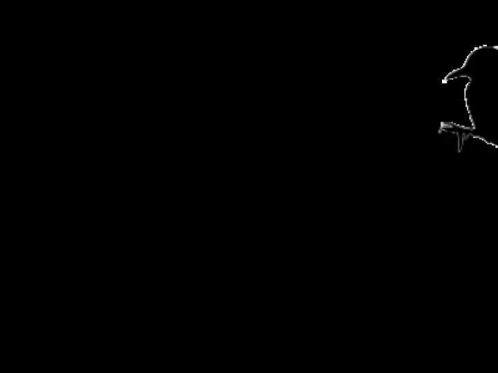 swingingwoodpeckersB