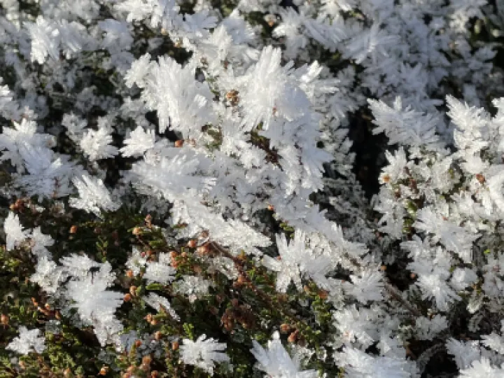 C5983A02-A374-405D-87A8-095274B28119