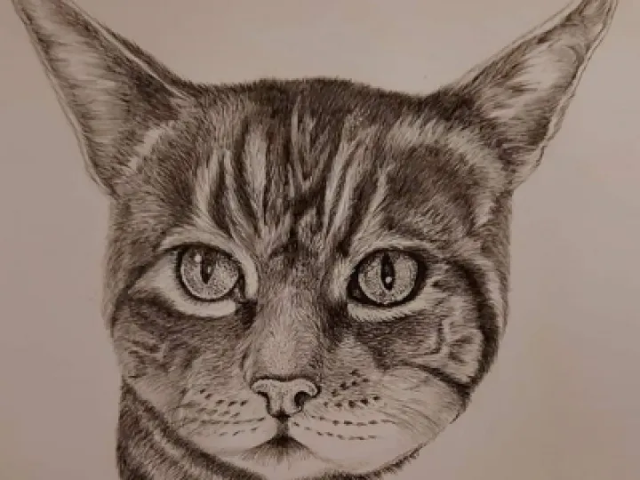 Screenshot_20230118_202536_facebook (2)