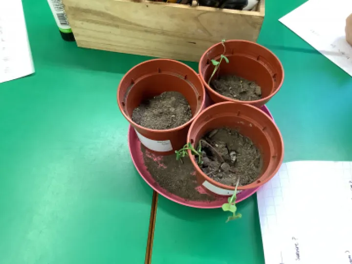 67371C00-959F-4572-877B-EECB94E9875F