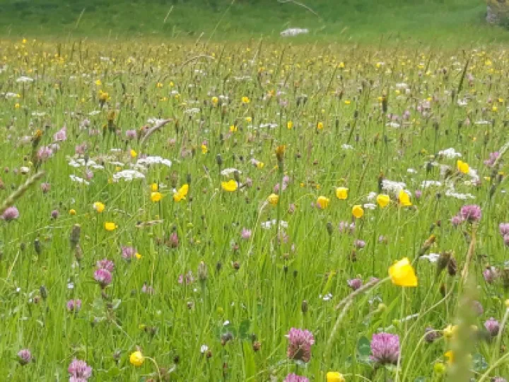 D0890A3D-7E72-493D-91F4-1F0E3B78276F