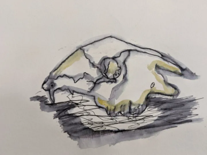 PXL_20230301_162425352