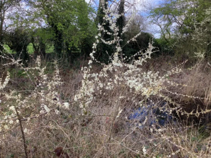 85F91B5E-9DBB-42B3-8998-8C64F12FFE9B