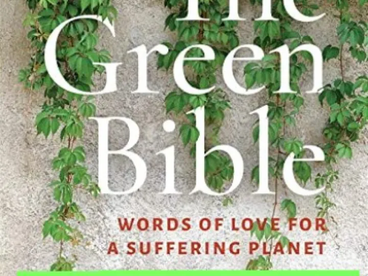 7132kN1tVdL-_AC_UL600_SR600