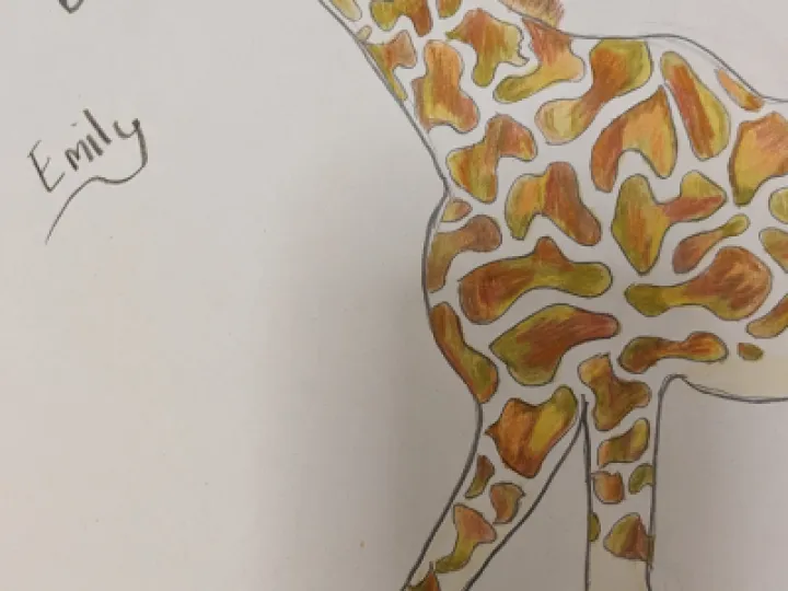 PXL_20230417_115209644