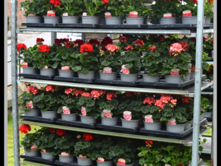 Pj 20230429 120526 0002