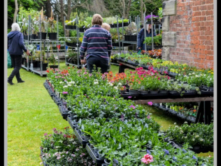 Pj 20230429 121101 0020