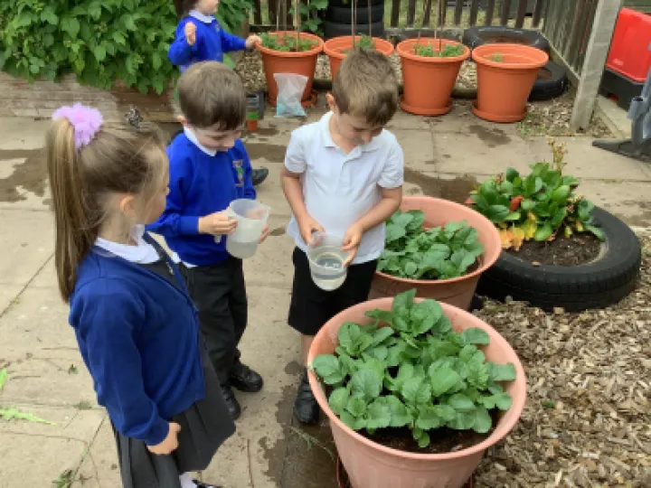 8C45F3EA-593A-4EA4-9388-32CC0F910FFE