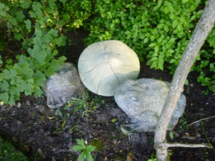 Flower Club Firs Garden June 2023 MD P1040284