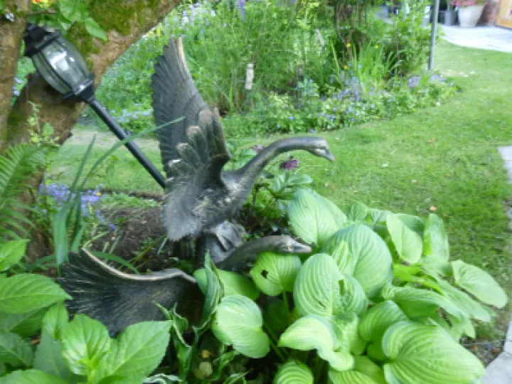 Flower Club Firs Garden June 2023 MD P1040287