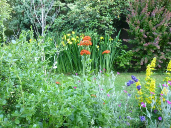 Flower Club Firs Garden June 2023 MD P1040288