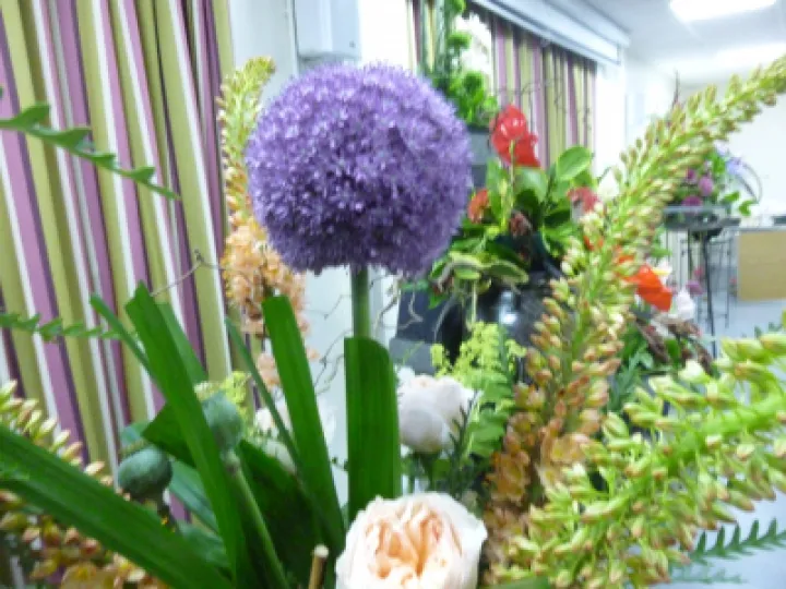 FLower Club July 2023 P1040295 (1)