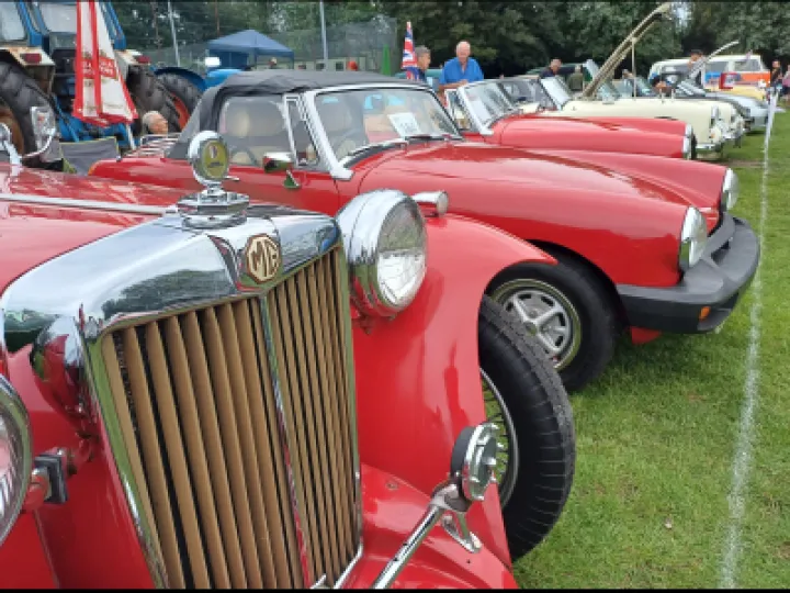 Helen Mayrick &ndash; TP Festival