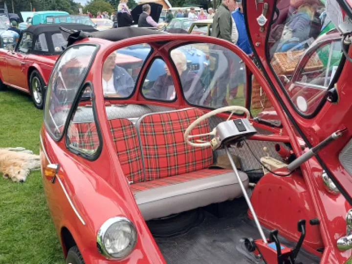 Helen Mayrick &ndash; TP Festival