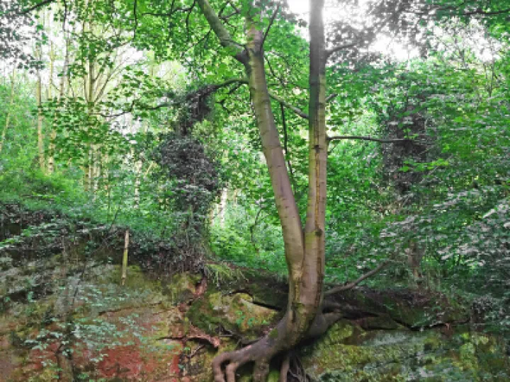 rr Life on the Edge-1_s02449