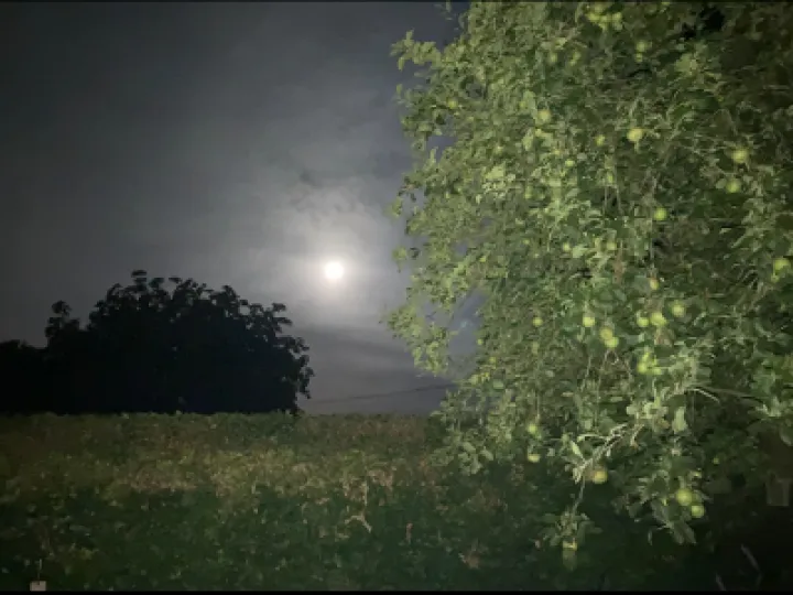 Super Blue Moon